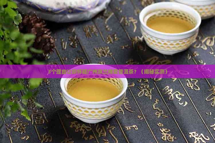 广州京兰搏爱普洱茶