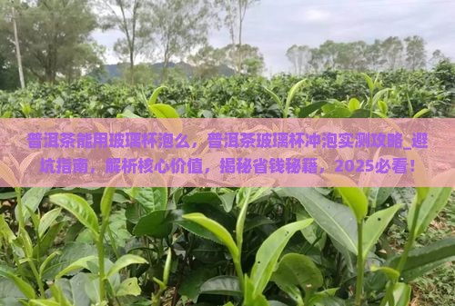 普洱茶能用玻璃杯泡么