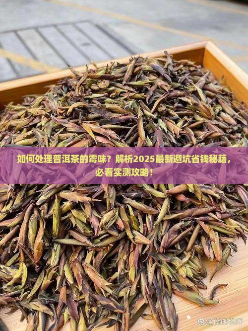 如何处理普洱茶的霉味