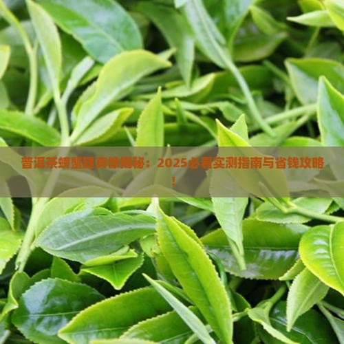 普洱茶的螃蟹腿
