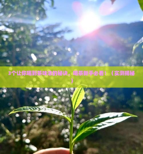 茶味浓的茶有哪些