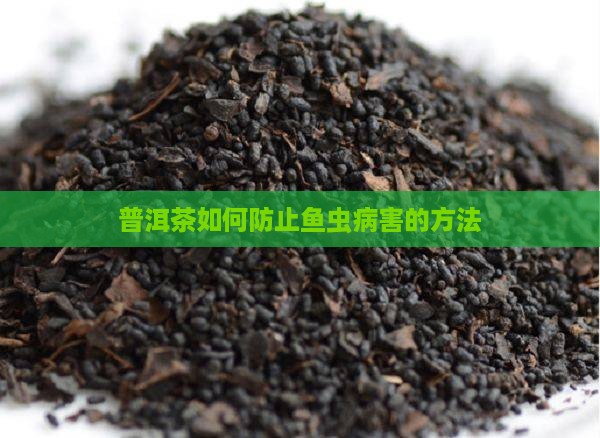 普洱茶如何防止鱼虫病害