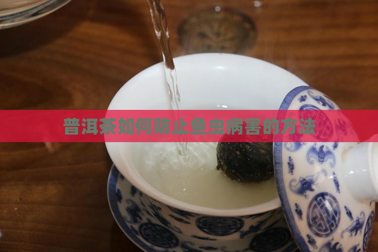 普洱茶如何防止鱼虫病害