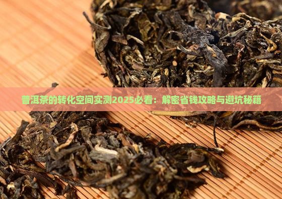 普洱茶的转化空间 普洱茶的转化空间