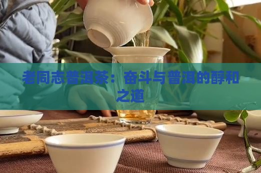 老同志普洱醇和奋斗