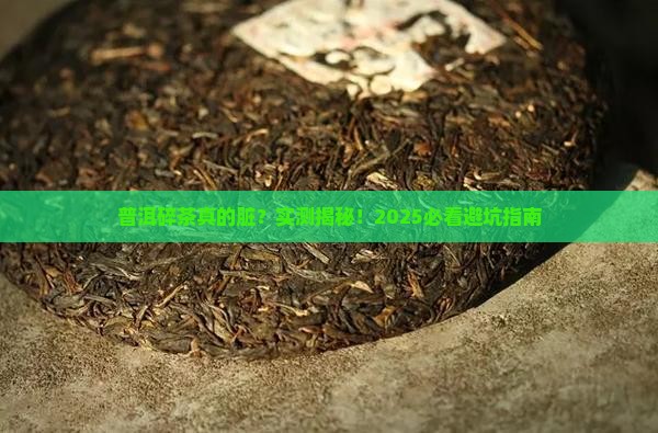 普洱碎茶有点脏