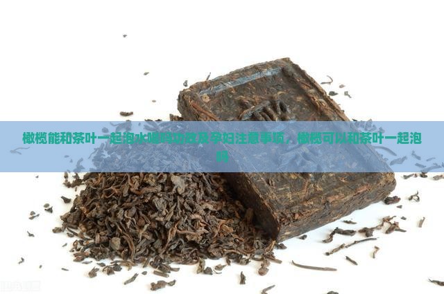 橄榄能和茶叶一起泡水喝吗