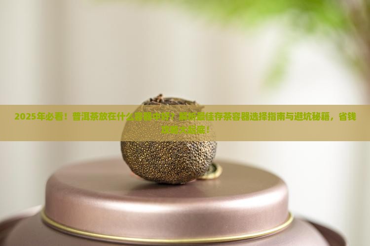普洱茶放在什么容器中好