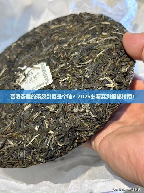 普洱茶有茶胶吗