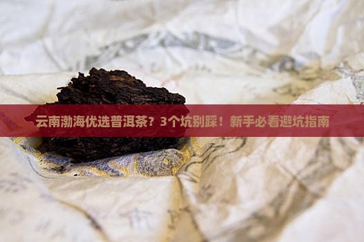 云南渤海优选普洱茶