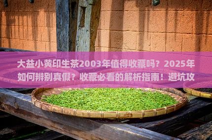 大益小黄印生茶2003年