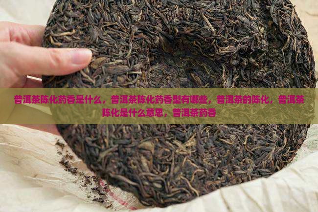 普洱茶陈化药香