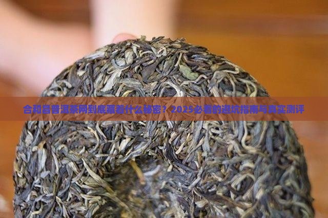 合和昌普洱茶网网