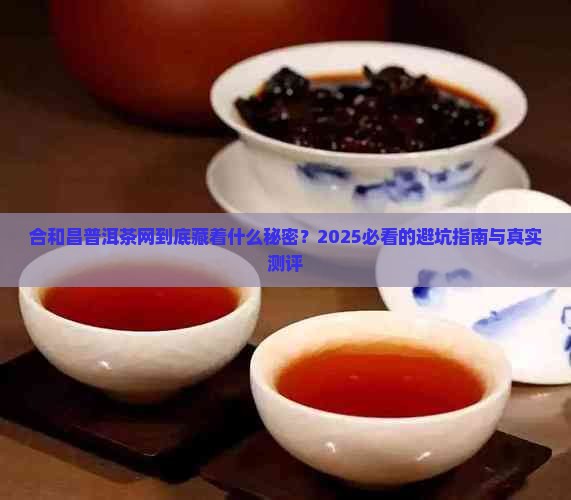 合和昌普洱茶网网