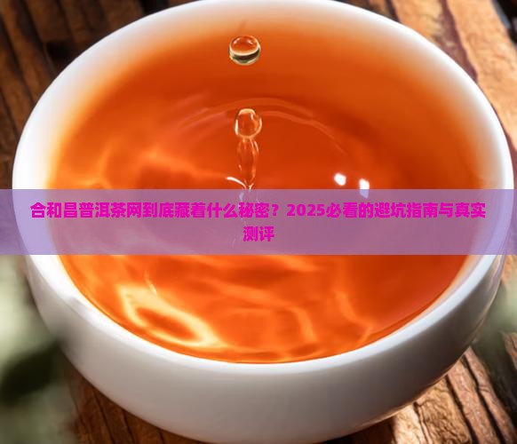 合和昌普洱茶网网