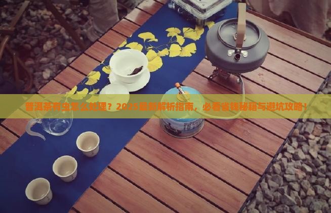 普洱茶有虫怎么治疗好得快