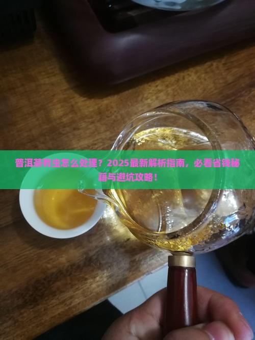 普洱茶有虫怎么治疗好得快