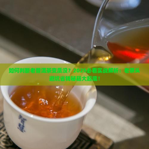 如何判断老普洱茶变质没
