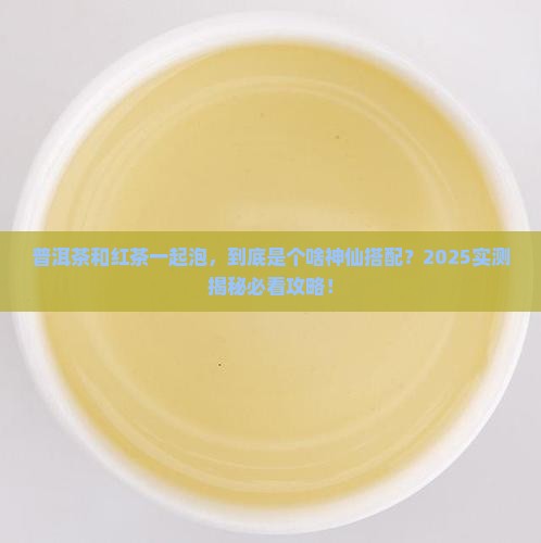 普洱茶红茶一起泡好不好