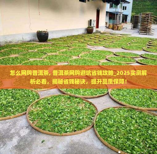 怎么网购普洱茶
