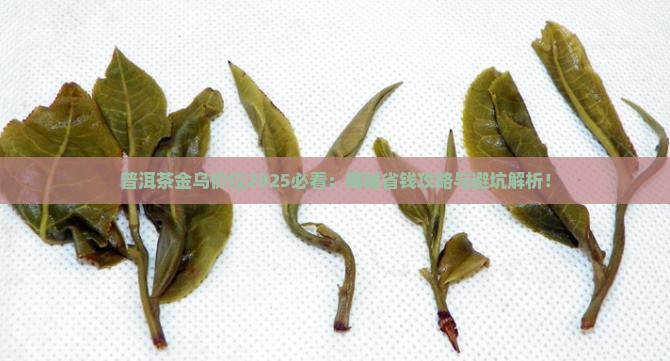 普洱茶金乌价位