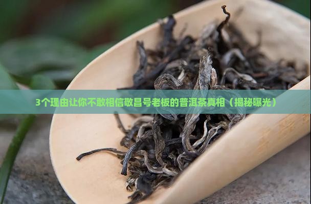 普洱茶敬昌号老板