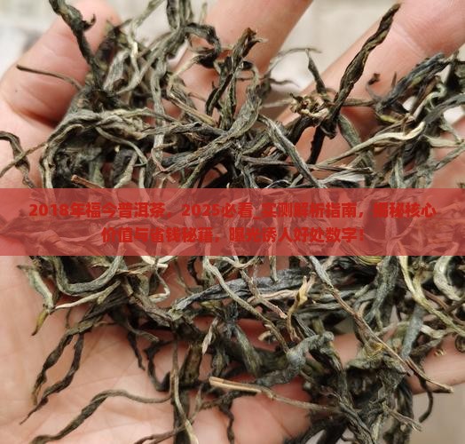 2018年福今普洱茶
