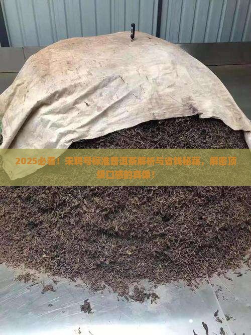 宋聘号标准普洱茶