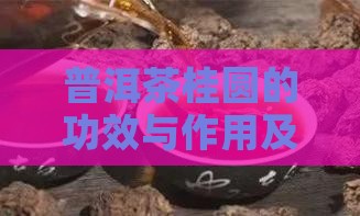 桂圆普洱茶的好处和坏处