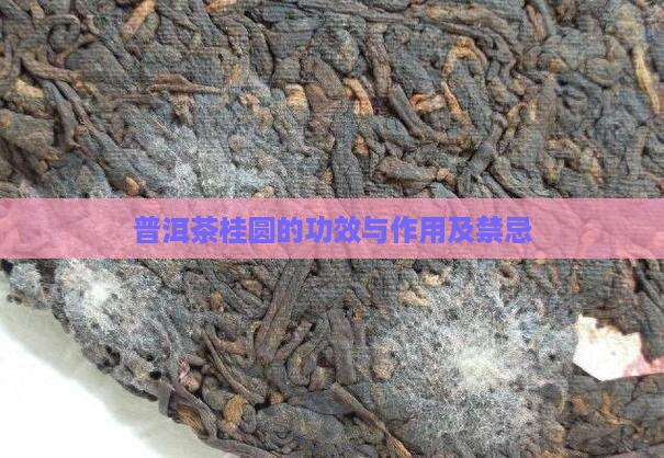 桂圆普洱茶的好处和坏处