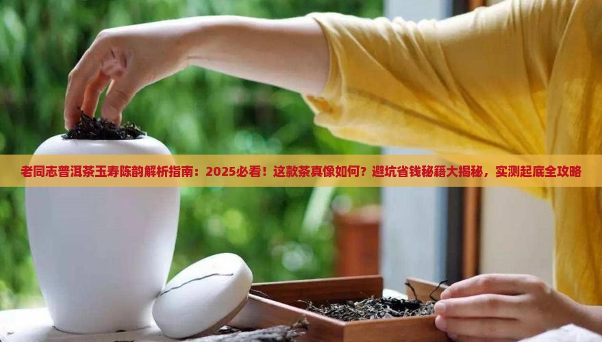 老同志普洱茶玉寿陈韵怎样