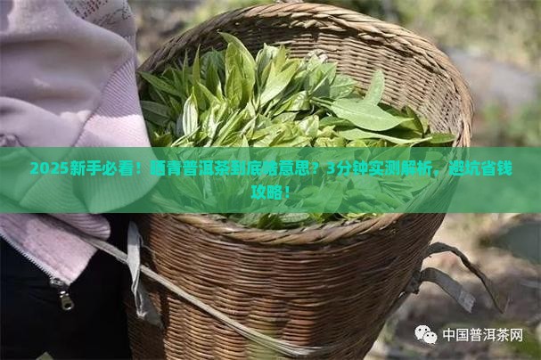 晒青普洱茶什么意思