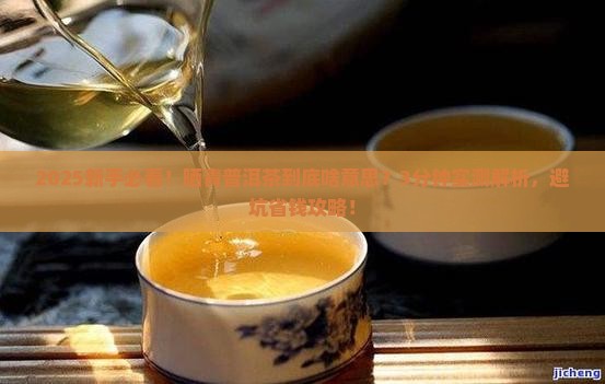 晒青普洱茶什么意思