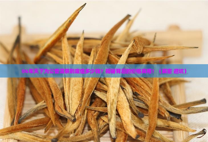 06年天下为公普洱茶价格