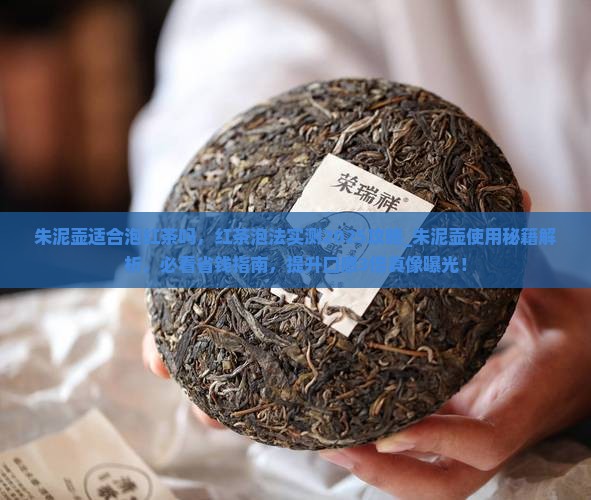 朱泥壶适合泡红茶吗