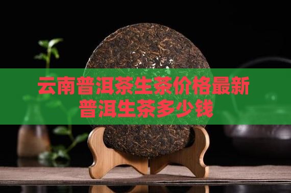 蚌孔村普洱茶生茶多少钱