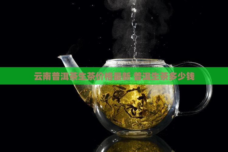 蚌孔村普洱茶生茶多少钱