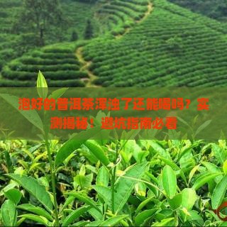 泡好的普洱茶浑浊了能喝吗