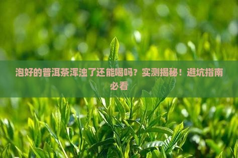 泡好的普洱茶浑浊了能喝吗
