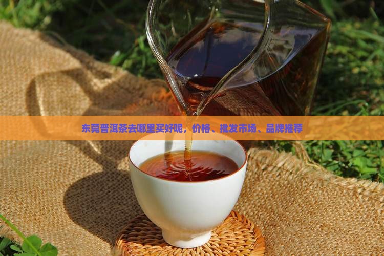 东莞普洱茶去哪里买好呢
