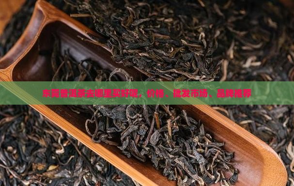 东莞普洱茶去哪里买好呢