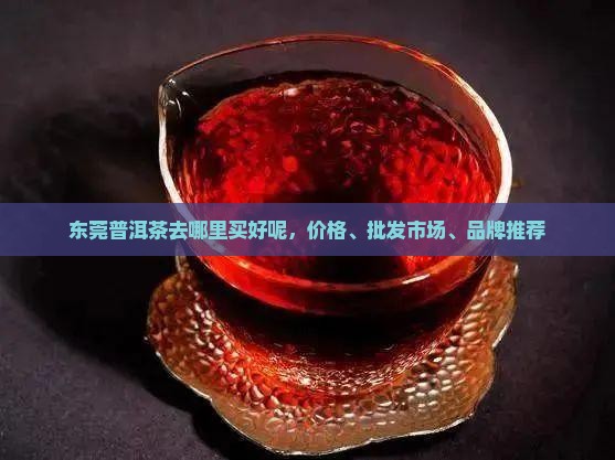 东莞普洱茶去哪里买好呢