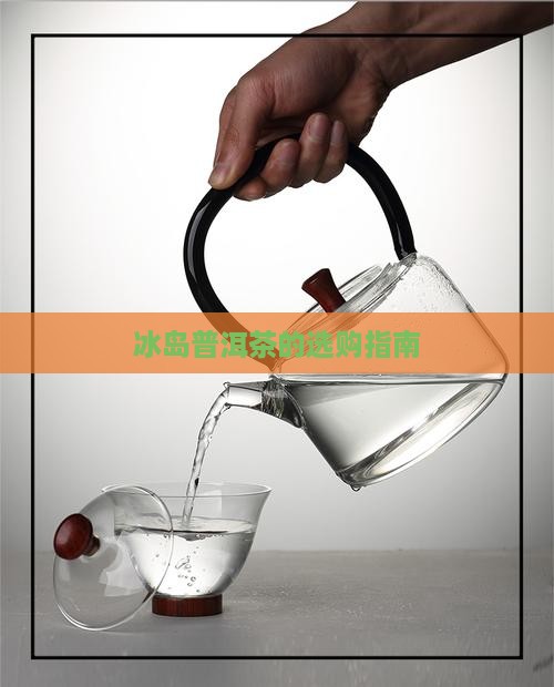 冰岛茶的选择与购买