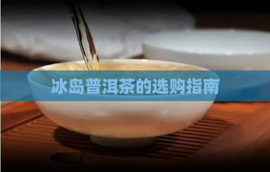 冰岛茶的选择与购买