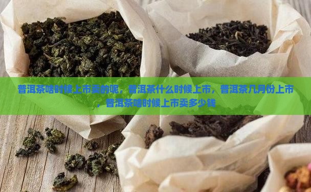 普洱茶啥时候上市卖的呢