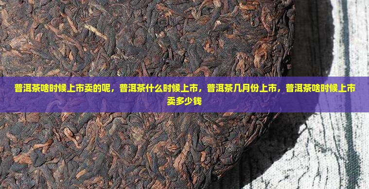 普洱茶啥时候上市卖的呢