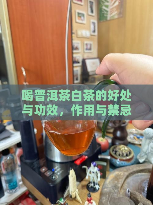 喝普洱茶白茶的好处与功效