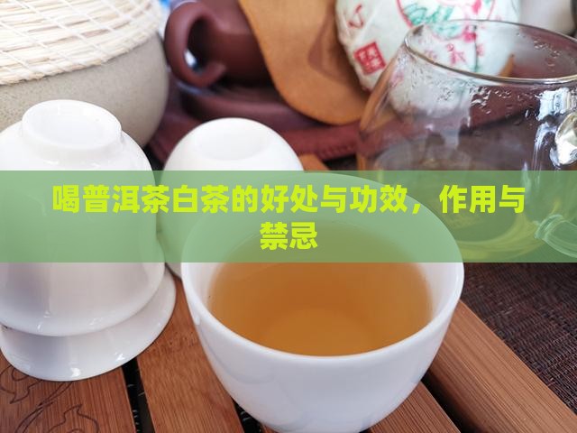喝普洱茶白茶的好处与功效