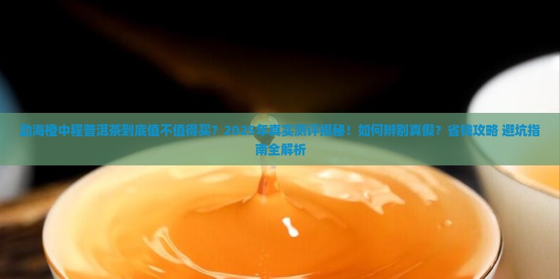 勐海橙中程普洱茶