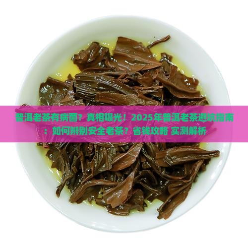 普洱老茶有病菌